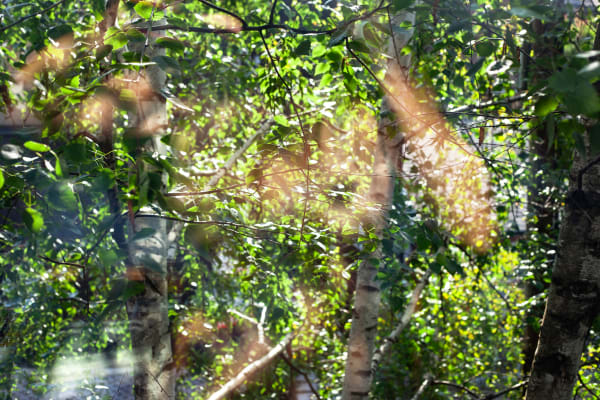 Sarah Dinnick, Initiation, 2024