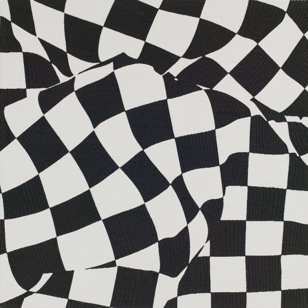 Sham 1, 2021 22 x 22 in. Meghan Price Jacquard weave