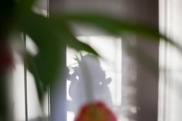 Sarah Dinnick, Verdant 2, 2024