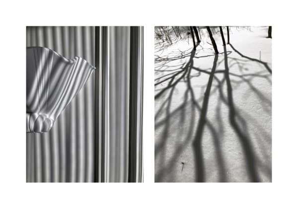 Sarah Dinnick, Diptych 20, 2021