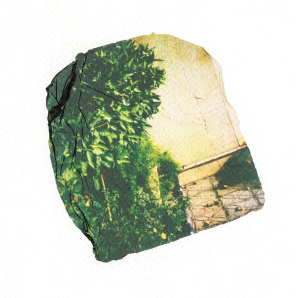 Marzieh Miri, to carry one's home #5, 2017-2024