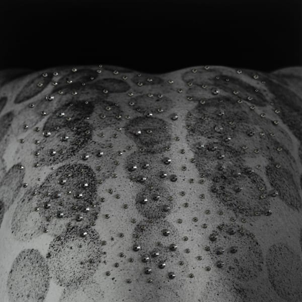 Self Portrait (back), 2021 16 x 16 in. $2,400, 24 x 24 in. $3,600 40 x 40 in. $4,800 Ryan Van Der Hout Pigment Print with Rhinestones, Framed in White