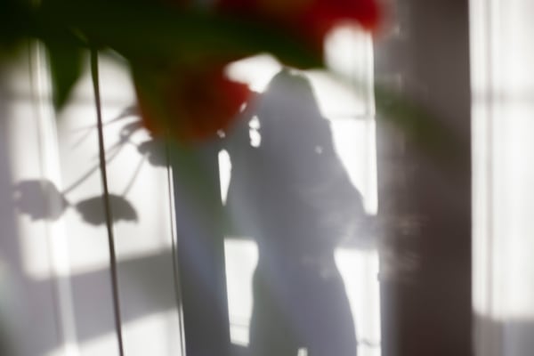 Sarah Dinnick, Verdant 1, 2024