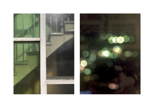 Sarah Dinnick, Diptych 14, 2021