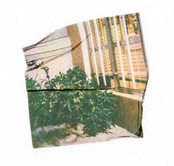 Marzieh Miri, to carry one's home #2, 2017-2024