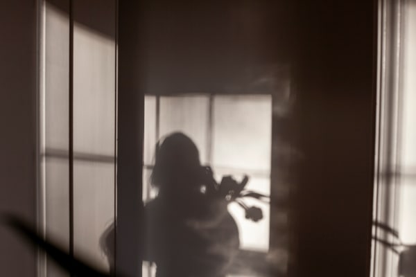 Sarah Dinnick, Verdant 4, 2024