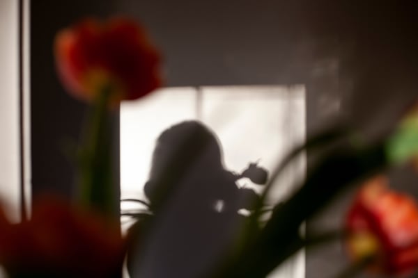 Sarah Dinnick, Verdant 6, 2024