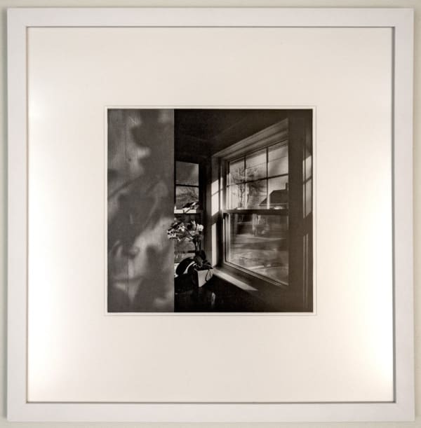 Corner Orchid III/V , 2013 Marlene MacCallum Photogravure