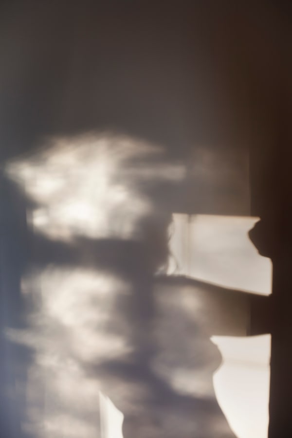 Sarah Dinnick, Shimmer 4, 2024