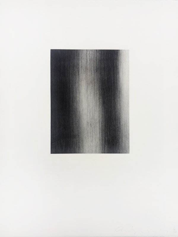 Akira Yoshikawa, Botan #3, 1996