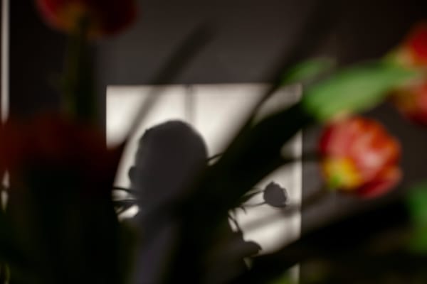 Sarah Dinnick, Verdant 5, 2024