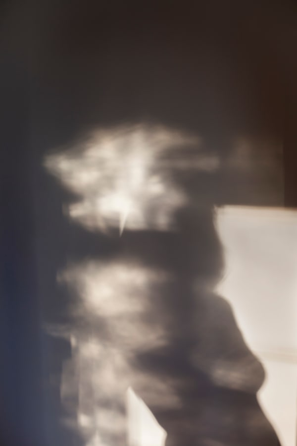 Sarah Dinnick, Shimmer 6, 2024