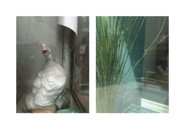 Sarah Dinnick, Diptych 15, 2021