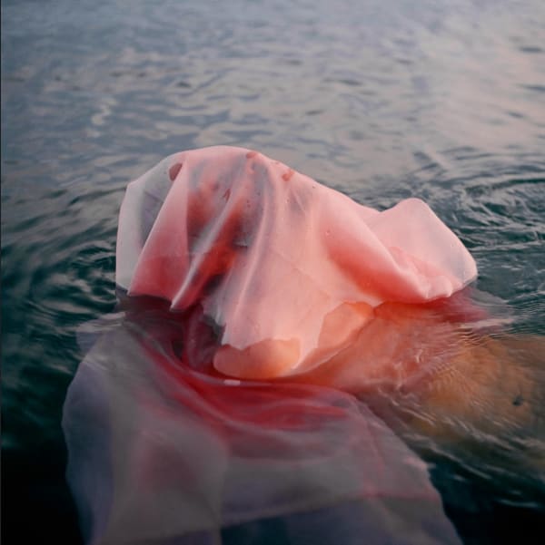 Jesse King, Venus as a Boy 1, 2020