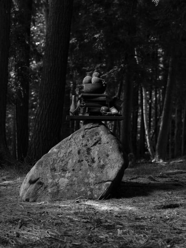 Ryan Van Der Hout, Finding Balance, 2022