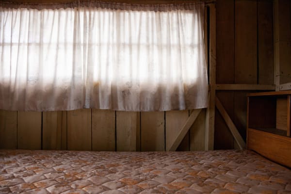 Sarah Dinnick, Sagamore North, 2019