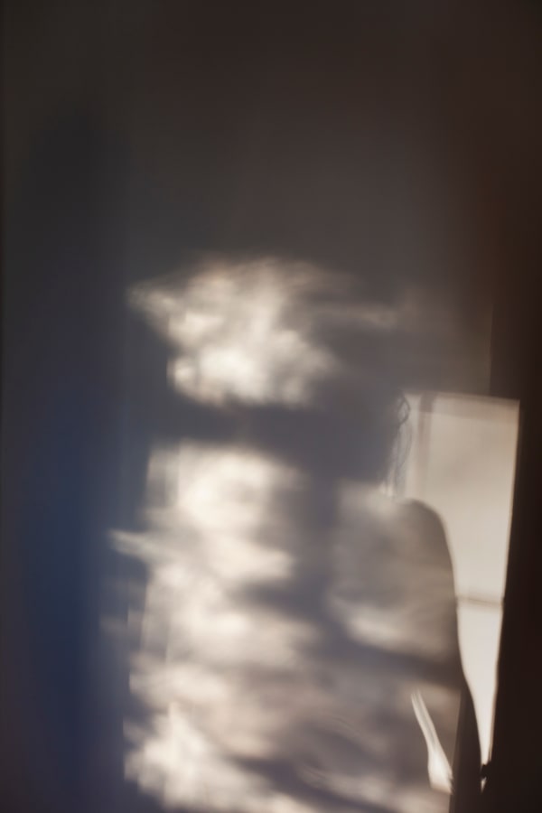 Sarah Dinnick, Shimmer 2, 2024