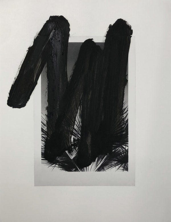 VALENTIN VAN DER MEULEN, Recherche Végétation 06, 2020