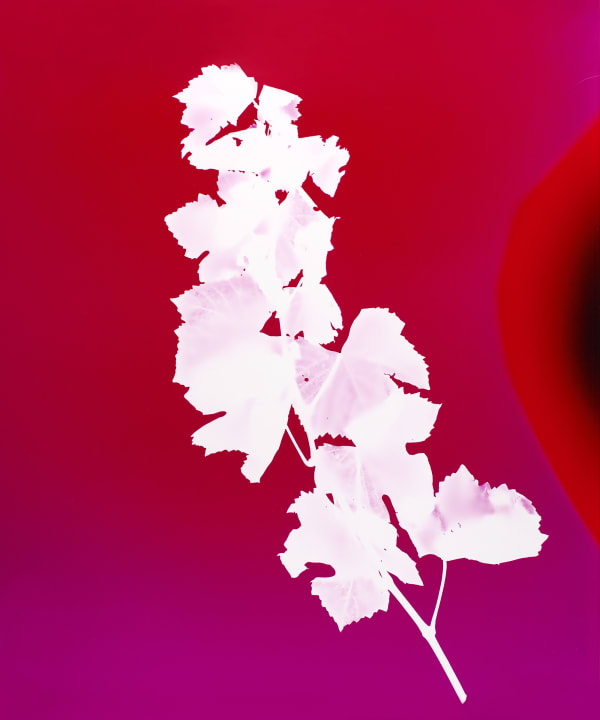 Elsa Leydier Sans Titre #12 Heatwave, 2019 Edition of 5 plus 1 artist's proof
