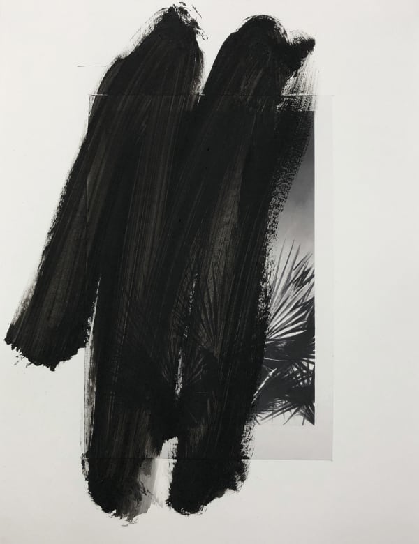 VALENTIN VAN DER MEULEN, Recherche Végétation 02, 2020