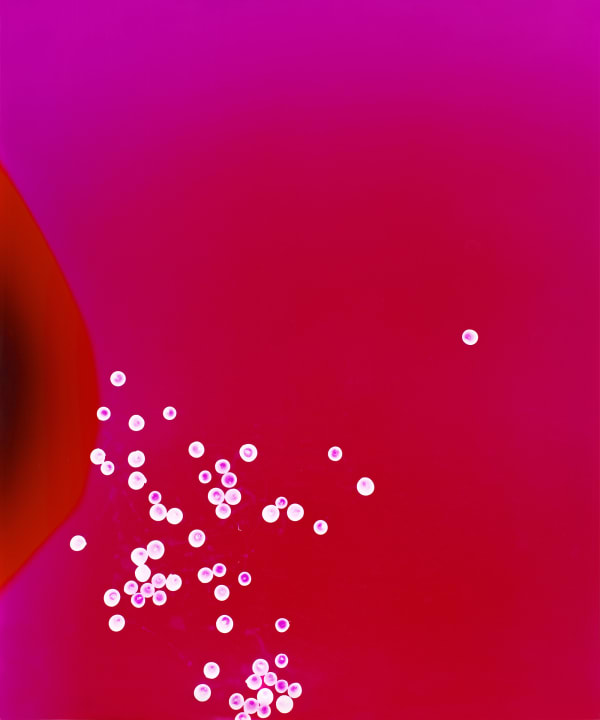 Elsa Leydier Sans Titre #6 | Heatwave, 2019 Edition of 5 plus 1 artist's proof