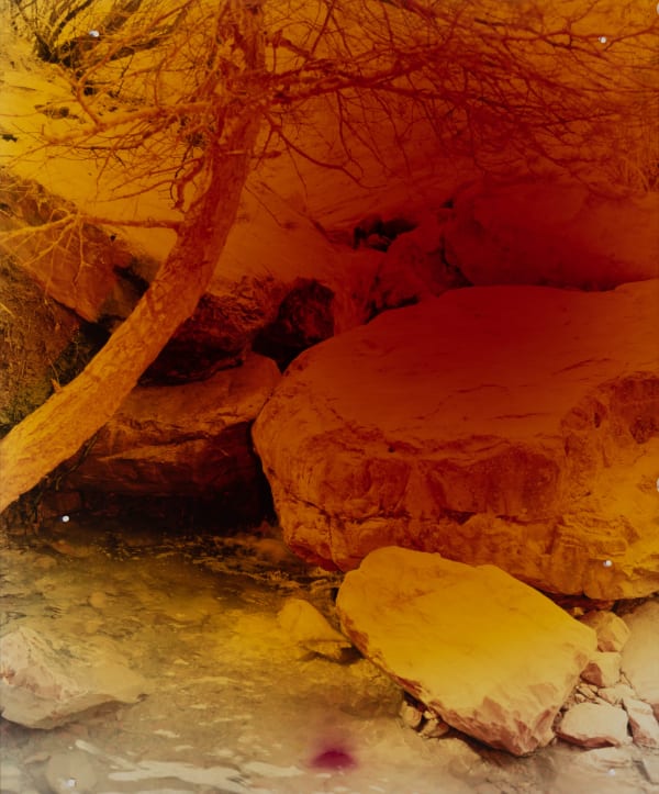 Sebastien Reuze, Riviere DSC_0365, 2021