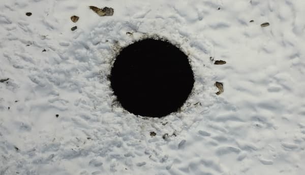 Xu Shuai, '4C+37, 2021