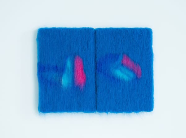 Weijue Wang, Earplug, 2024