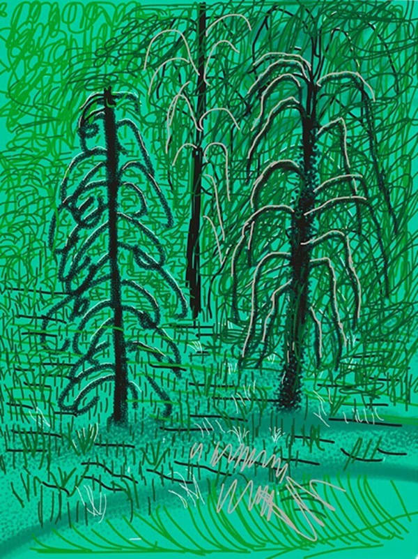 David Hockney, Untitled No. 16 : The Yosemite Suite, 2010