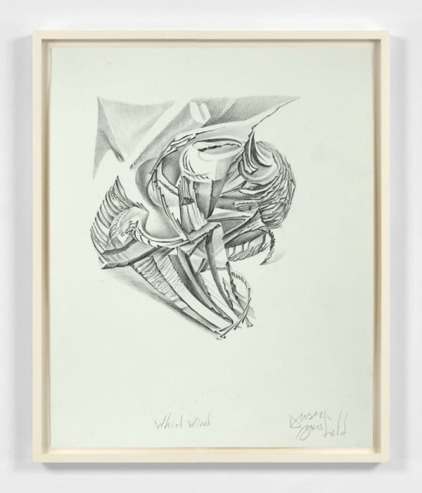 Duane Bousfield, Whirlwind, 1989