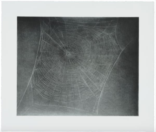 Vija Celmins, Untitled (Web 4), 2002