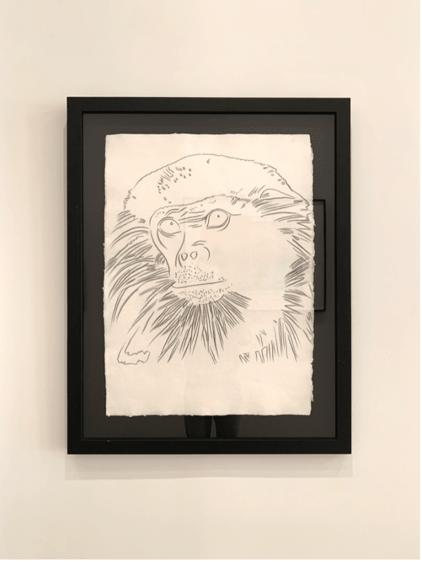 Andy Warhol, Douc Langur from Vanishing Animals, 1986