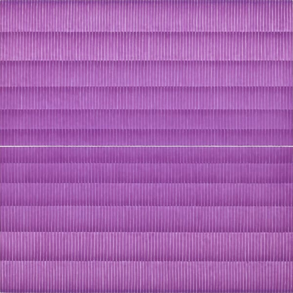 Anna Bogatin Ott, BV10, 2018