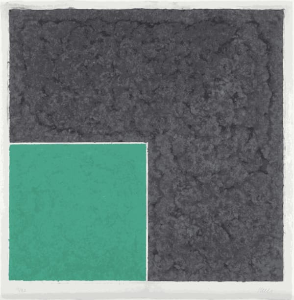 Ellsworth Kelly, Colored Paper Image XVII, 1976