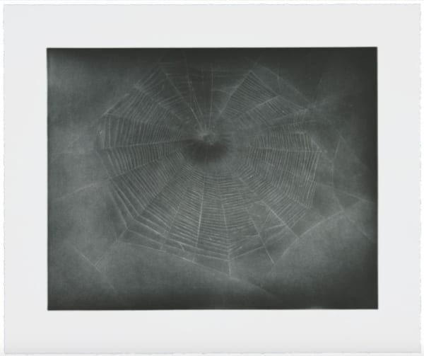 Vija Celmins, Untitled (Web 3), 2002