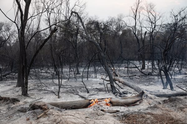 Lalo de Almeida, Série Cinzas do Paraíso / Ashes from Paradise series, 2020