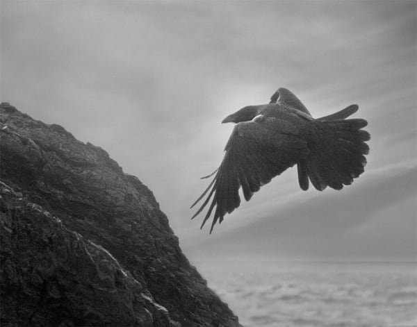 Beth Moon, Odin’s Cove #14, / Odin’s Cove #14, 2000