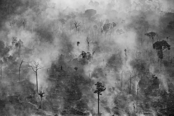 Lalo de Almeida, Altamira PA, da série Distopia Amazônica / Altamira, PA, from the series Amazonian Dystopia, 2013
