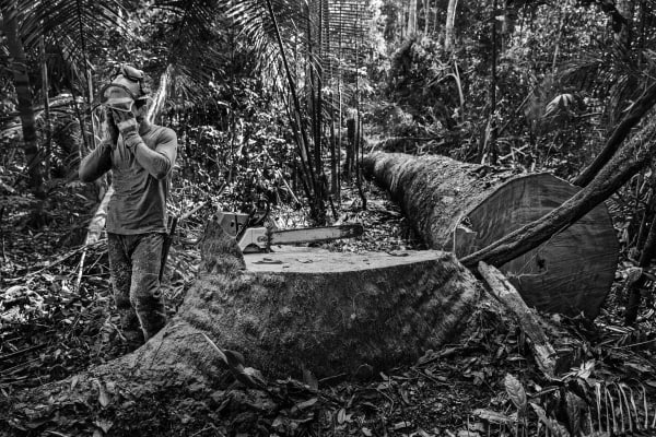 Lalo de Almeida, Itapuã do Oeste, RO, da série Distopia Amazônica / Itapuã do Oeste, RO, from the series Amazonian Dystopia, 2015