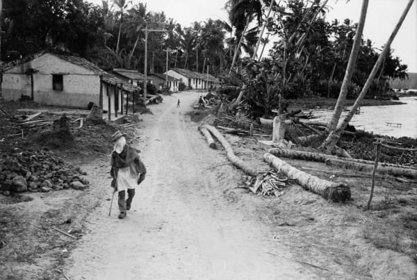 Celso Brandão, Carnaval, Lagoa do Juquié, AL / Carnival, Lagoa do Juquié, Alagoas, Brazil, 1983