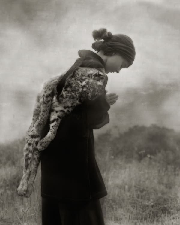 Beth Moon, Jornada do Lince 2. Série Thy Kingdom Come, / Journey of the Bobcat 2, 2007