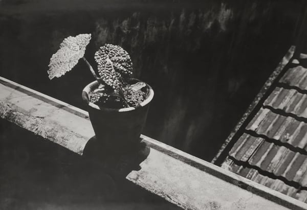 Alice Kanji, Composição / Composition, circa 1955