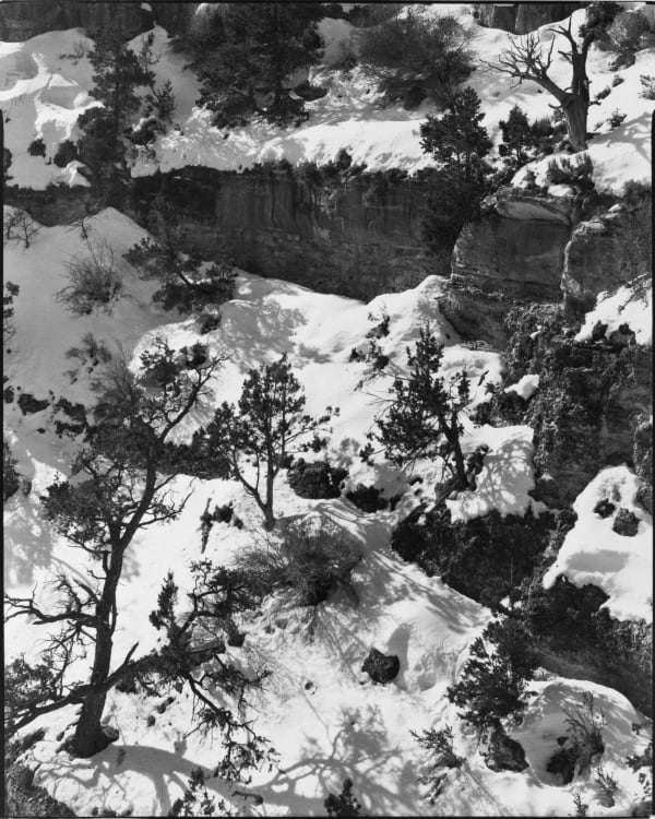 Luiz Carlos Felizardo, Neve no Grand Canyon, AZ, 1984