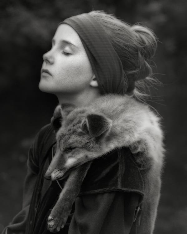 Beth Moon, Caminho da raposa 2 / Path of the fox 2, 2006