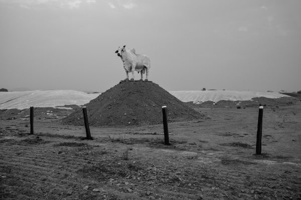 Lalo de Almeida, Peixoto de Azevedo, MT, da série Distopia Amazônica / Peixoto de Azevedo, MT, from the series Amazonian Dystopia, 2019