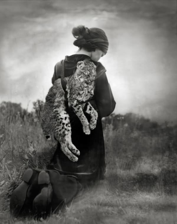 Beth Moon, Jornada do Lince / Journey of the bobcat, 2007
