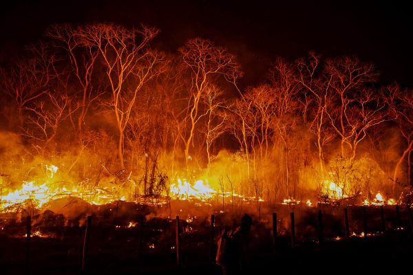 Lalo de Almeida, Série Cinzas do Paraíso / Ashes from Paradise series, 2020