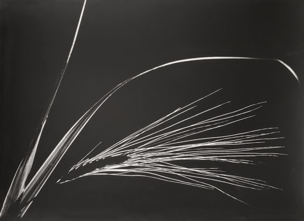 Alice Kanji, Composição com trigo / Composition with wheat, década de 1960 / 1960s
