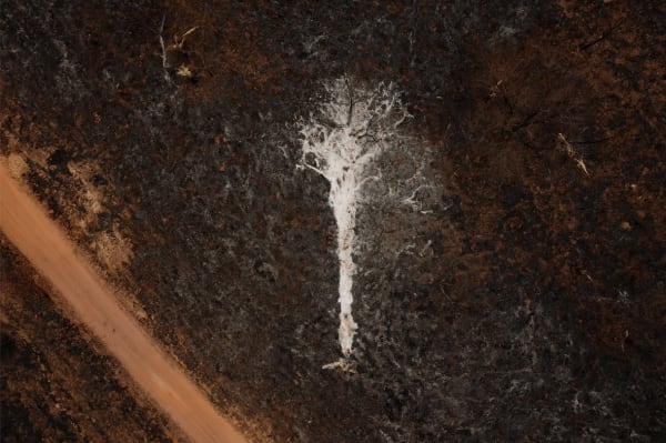 Lalo de Almeida, Série Cinzas do Paraíso / Ashes from Paradise series, 2020