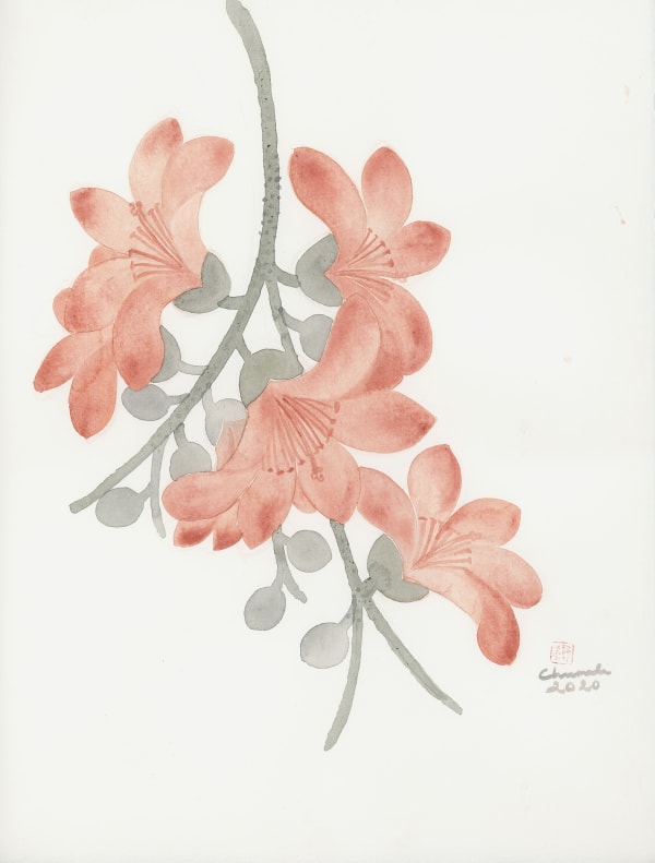 Chameli Ramachandran, Untitled, 2020